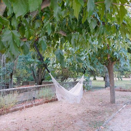 Bed and Breakfast Reve D'Emma Plan-dʼOrgon Esterno foto
