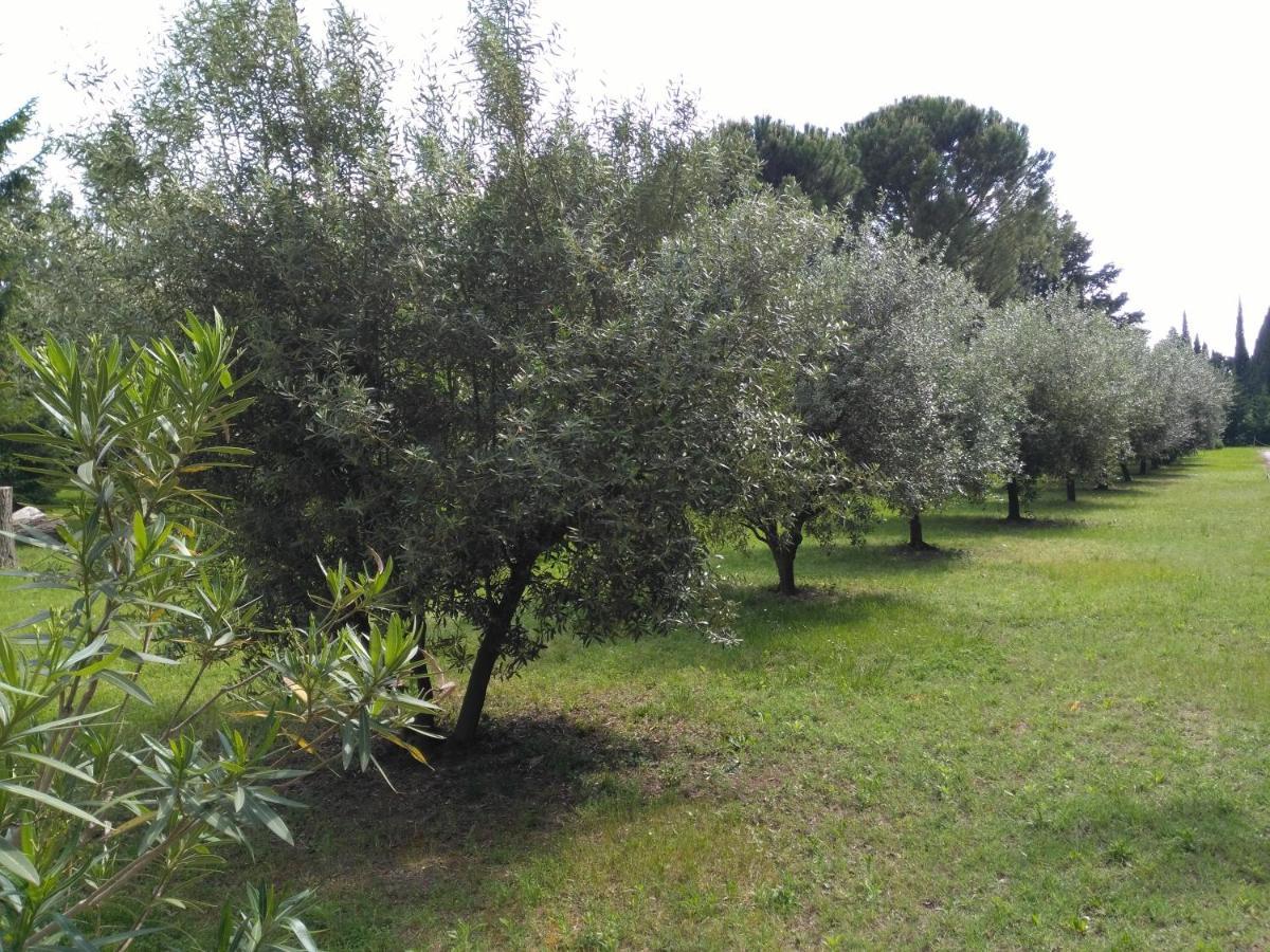 Bed and Breakfast Reve D'Emma Plan-dʼOrgon Esterno foto
