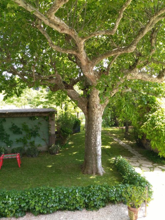 Bed and Breakfast Reve D'Emma Plan-dʼOrgon Esterno foto
