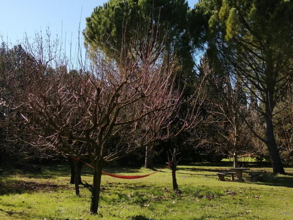 Bed and Breakfast Reve D'Emma Plan-dʼOrgon Esterno foto